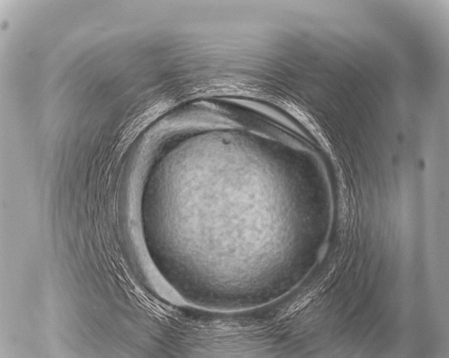 X0000055990481200508261728