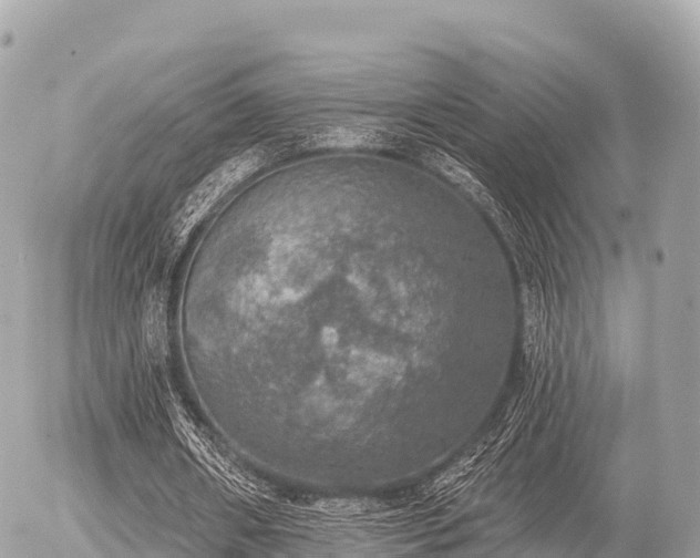 X0000055990482200508261728