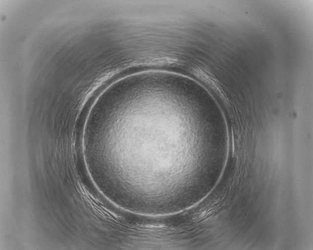 X0000055990483200508261728