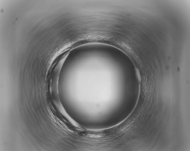 X0000055990488200508261728