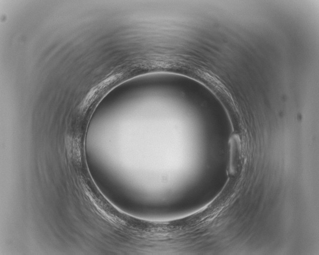 X0000055990489200508261728