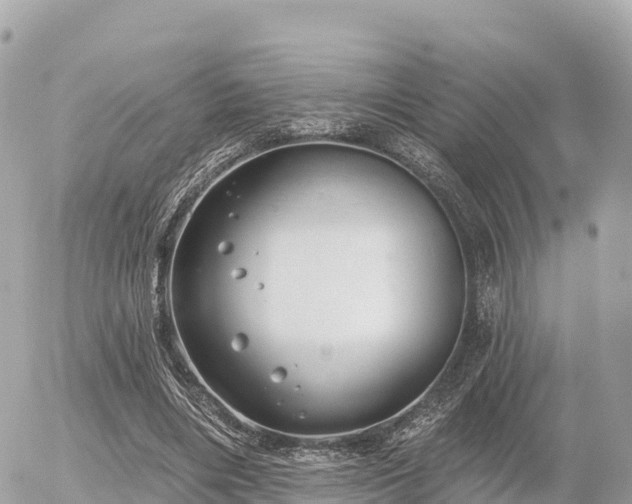 X0000055990490200508261728