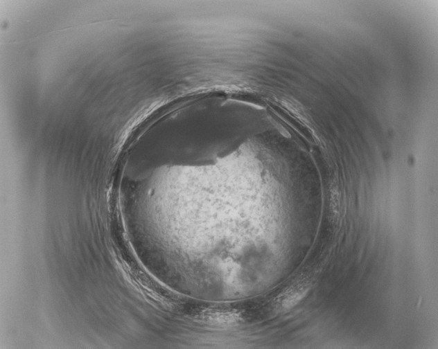 X0000055990491200508261728