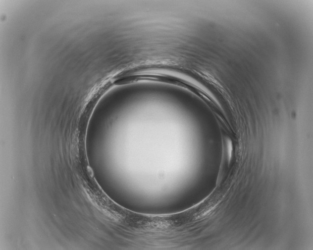 X0000055990492200508261728