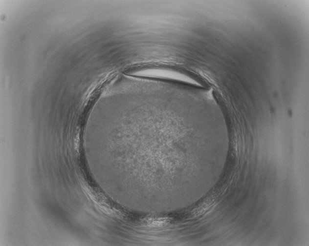 X0000055990495200508261728