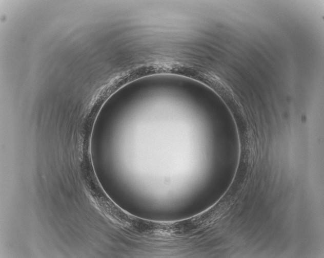 X0000055990496200508261728