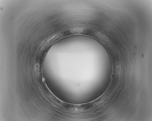 X0000055990498200508261728