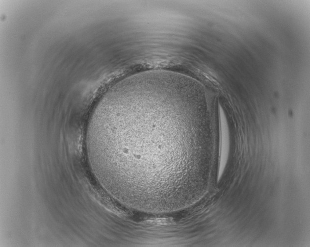 X0000055990499200508261728