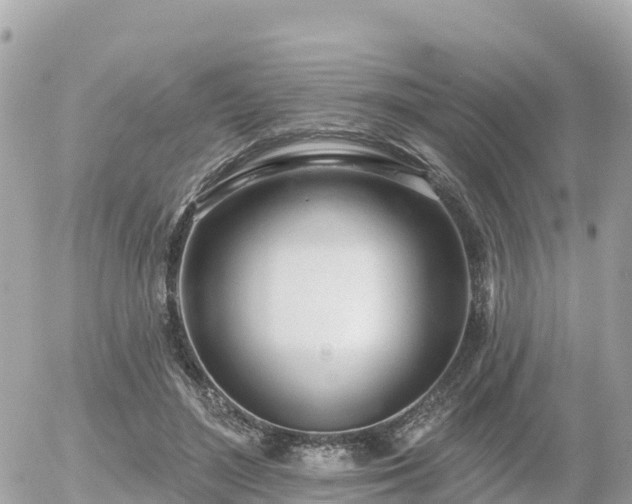 X0000055990500200508261728