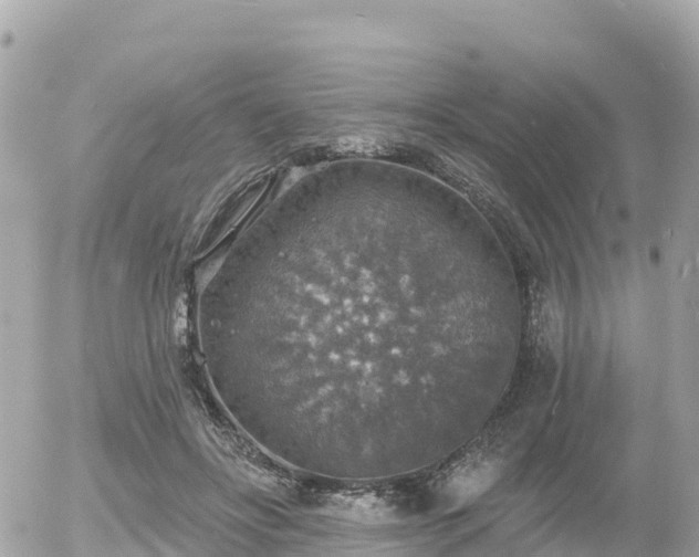 X0000055990502200508261728