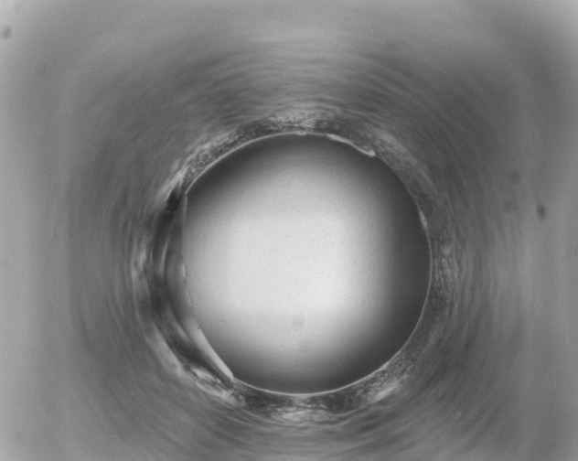 X0000055990504200508261728