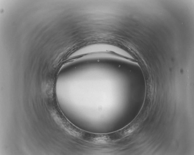 X0000055990505200508261728