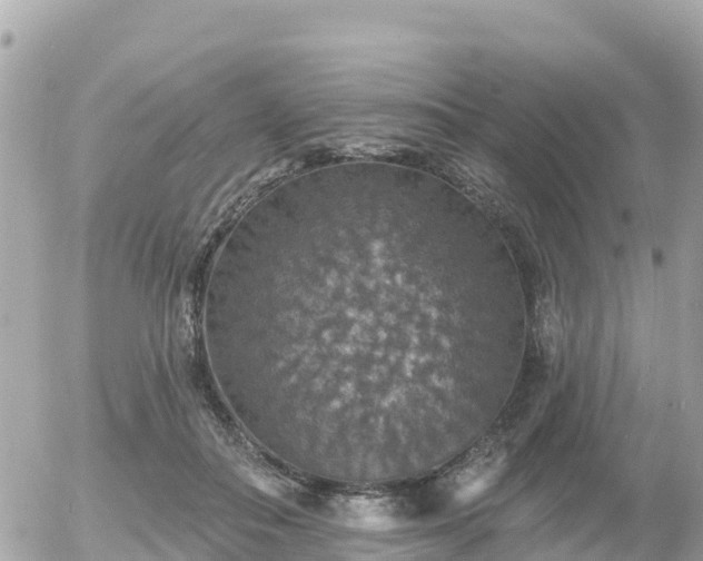 X0000055990506200508261728