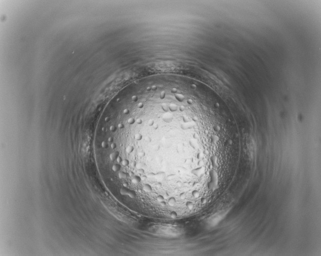 X0000055990507200508261728