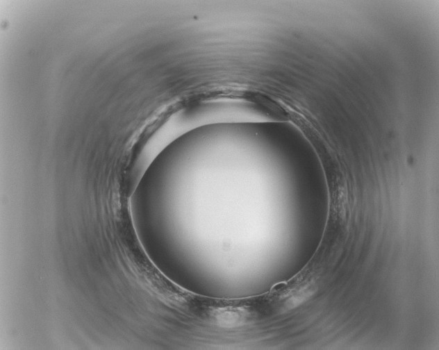 X0000055990508200508261728