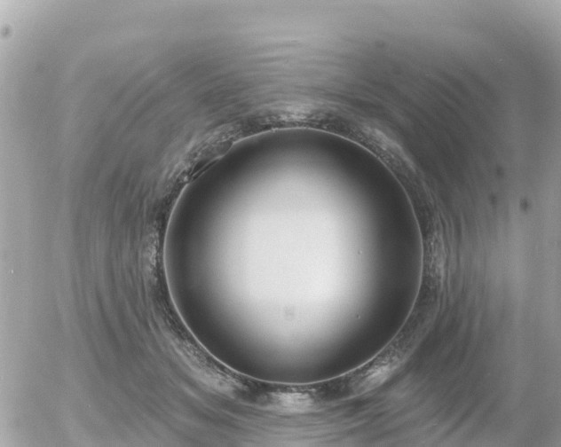 X0000055990509200508261728