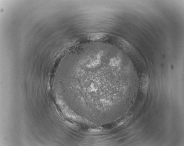 X0000055990510200508261728