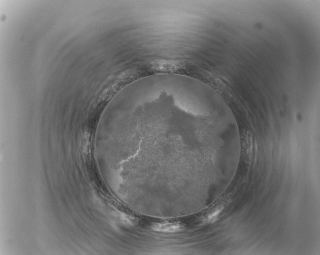 X0000055990511200508261728