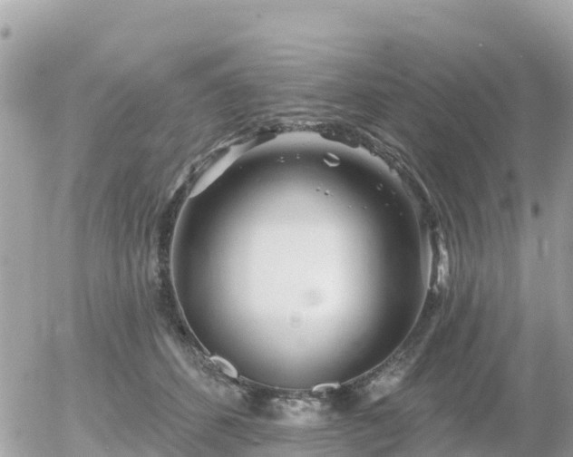 X0000055990512200508261727