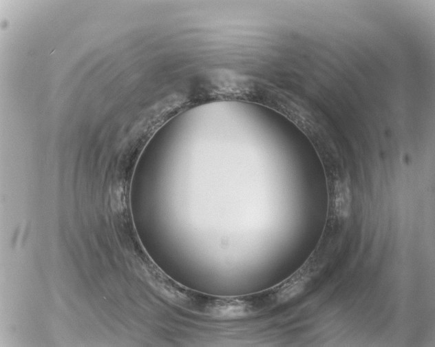 X0000055990514200508261727