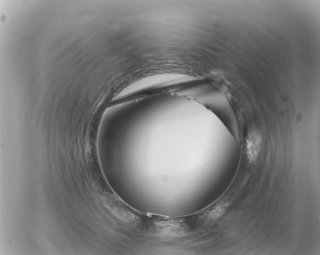 X0000055990516200508261727