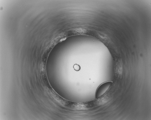 X0000055990518200508261727