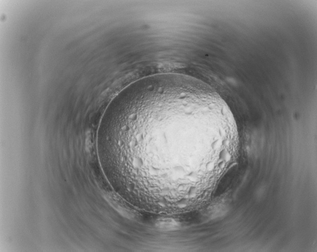 X0000055990519200508261727