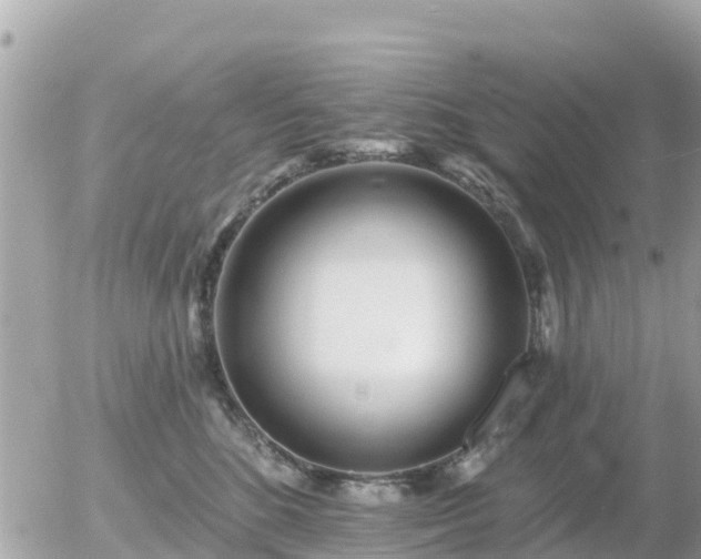 X0000055990520200508261727