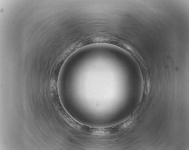 X0000055990521200508261727