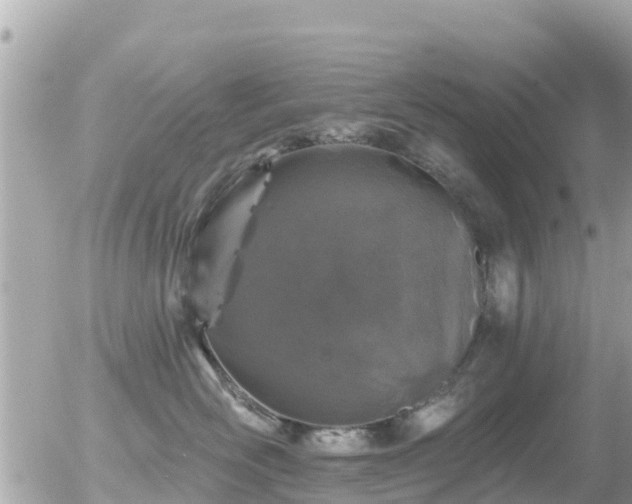 X0000055990526200508261727