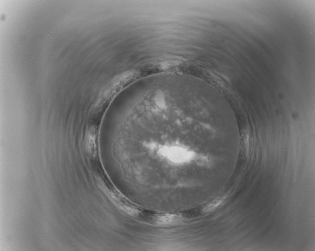 X0000055990527200508261727