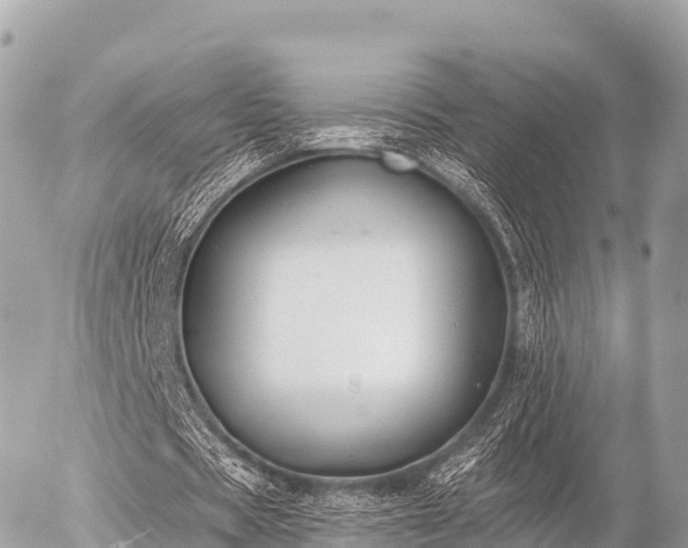 X0000055990529200508261726