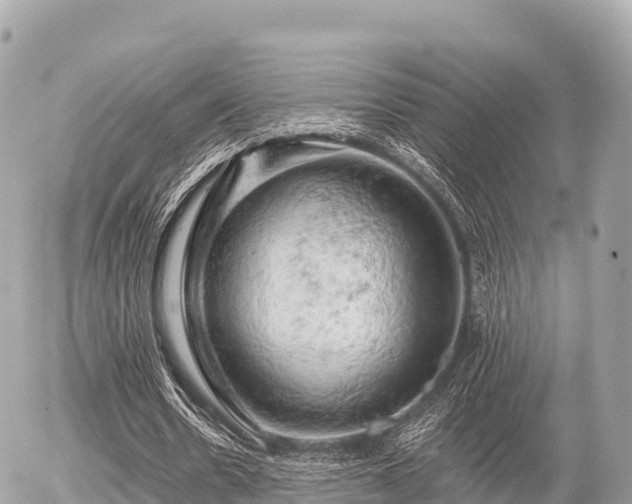 X0000055990530200508261726