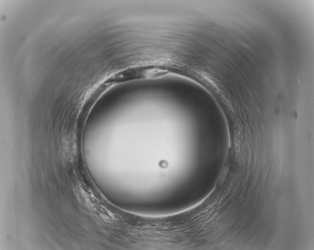 X0000055990532200508261726