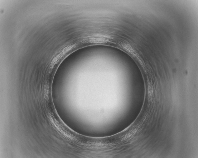 X0000055990533200508261726