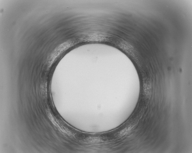 X0000055990534200508261727