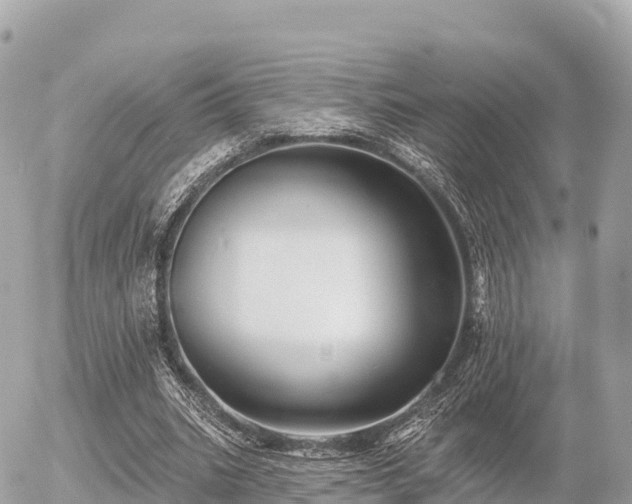 X0000055990535200508261727