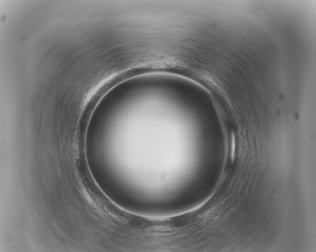 X0000055990536200508261727