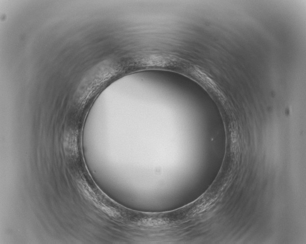 X0000055990537200508261727