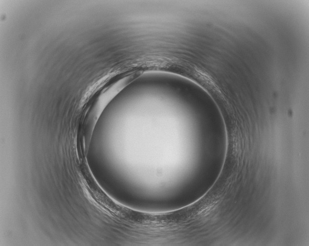 X0000055990538200508261727