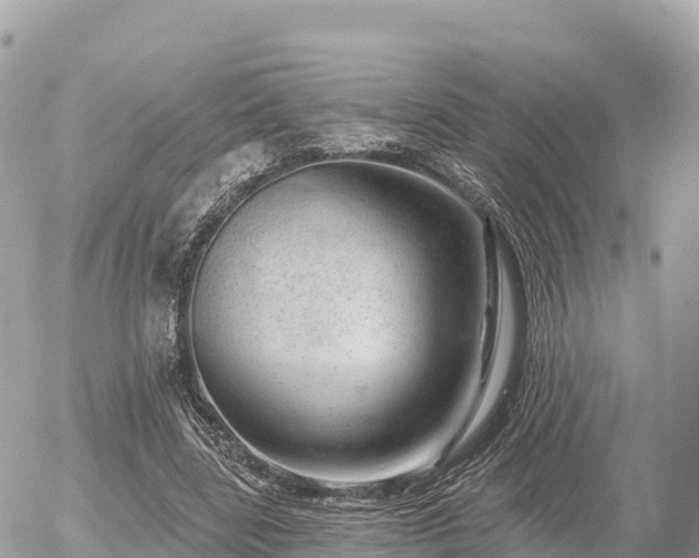 X0000055990539200508261727