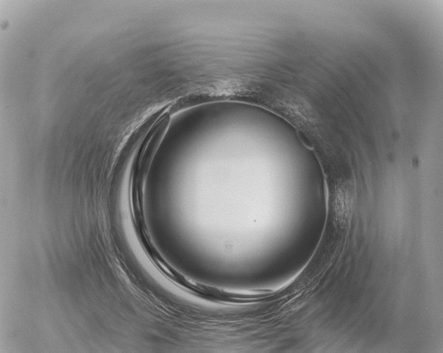 X0000055990540200508261727