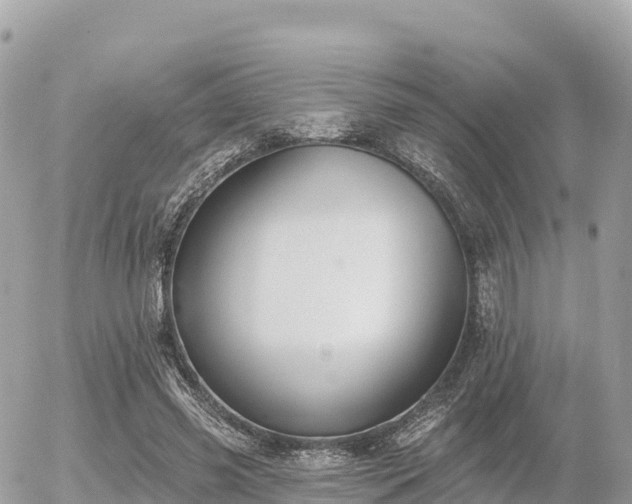 X0000055990541200508261727