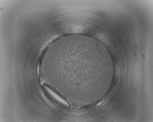 X0000055990542200508261727