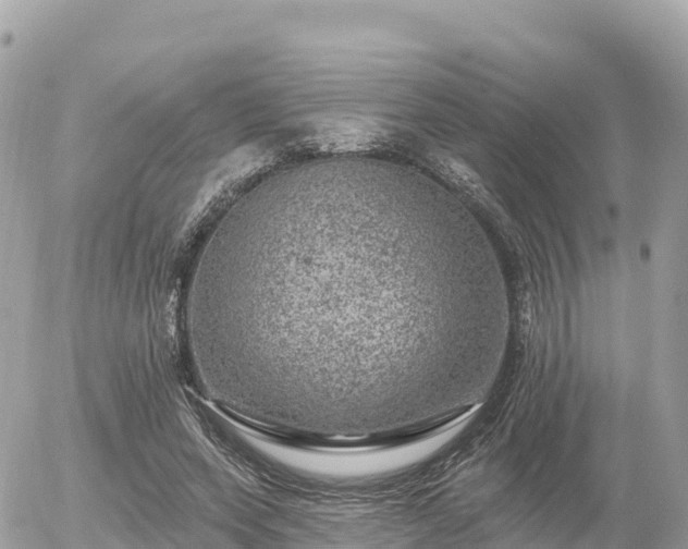 X0000055990543200508261727