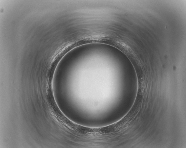 X0000055990544200508261727