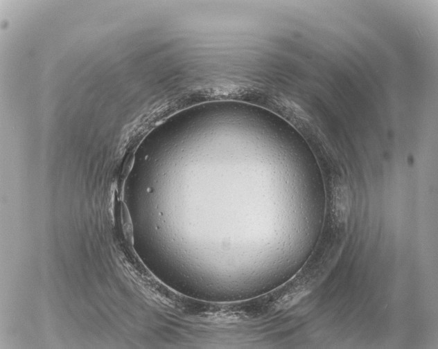 X0000055990545200508261727