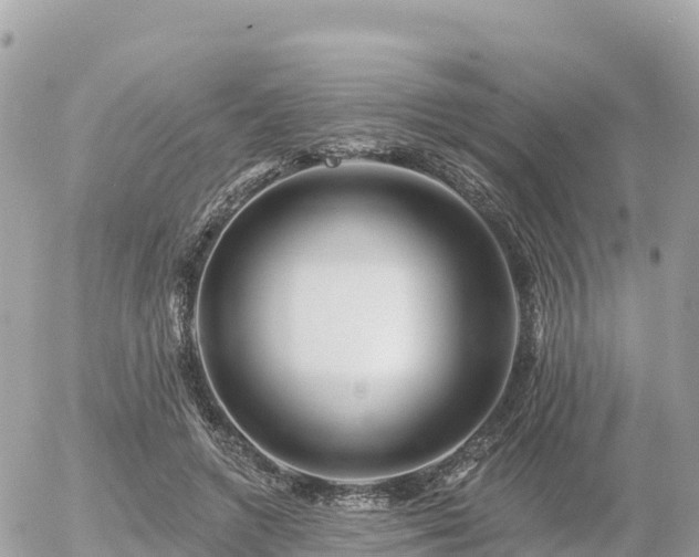 X0000055990546200508261727