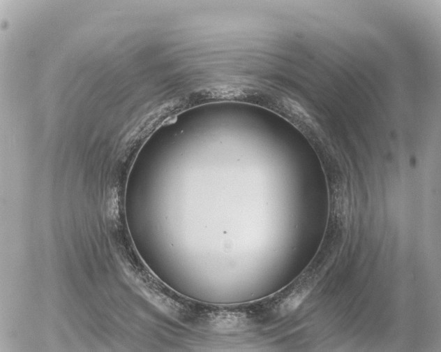 X0000055990549200508261727