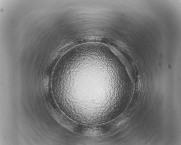 X0000055990550200508261727